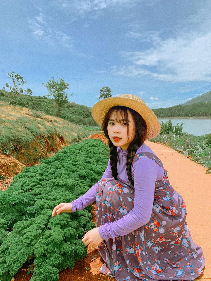 hoa-thach-thao-da-lat-7