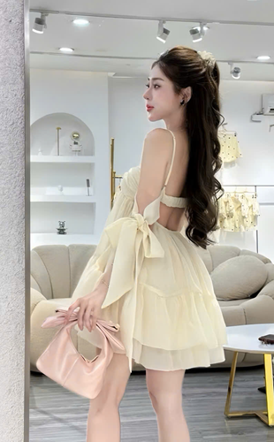 H Đầm voan dáng xòe – 119k/ngày – Freesize